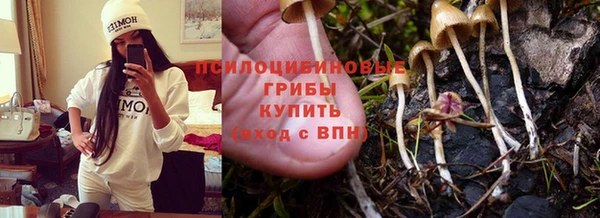 каннабис Новокубанск