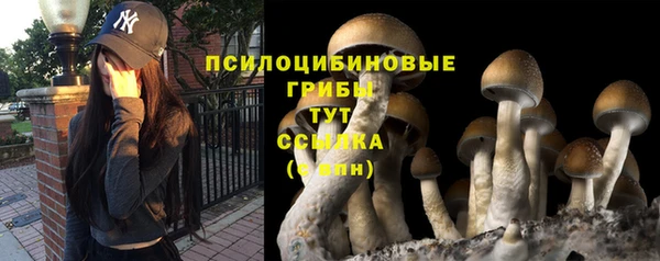 каннабис Новокубанск